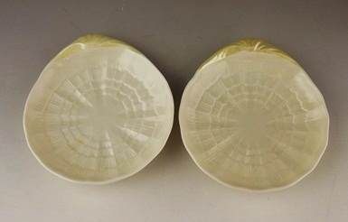 Irish Belleek  Tridacna Porcelain China 