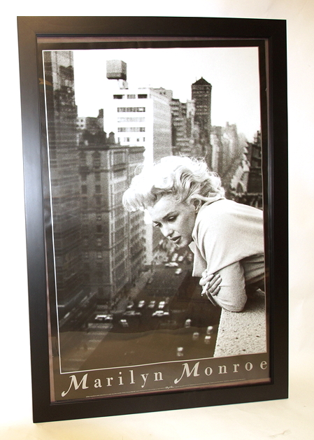 4 Framed Posters of Who's Who's 