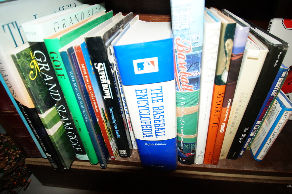 Bookcase filled with Books