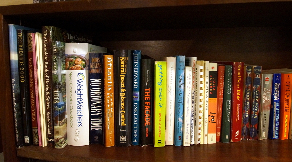 Bookcase filled with Books