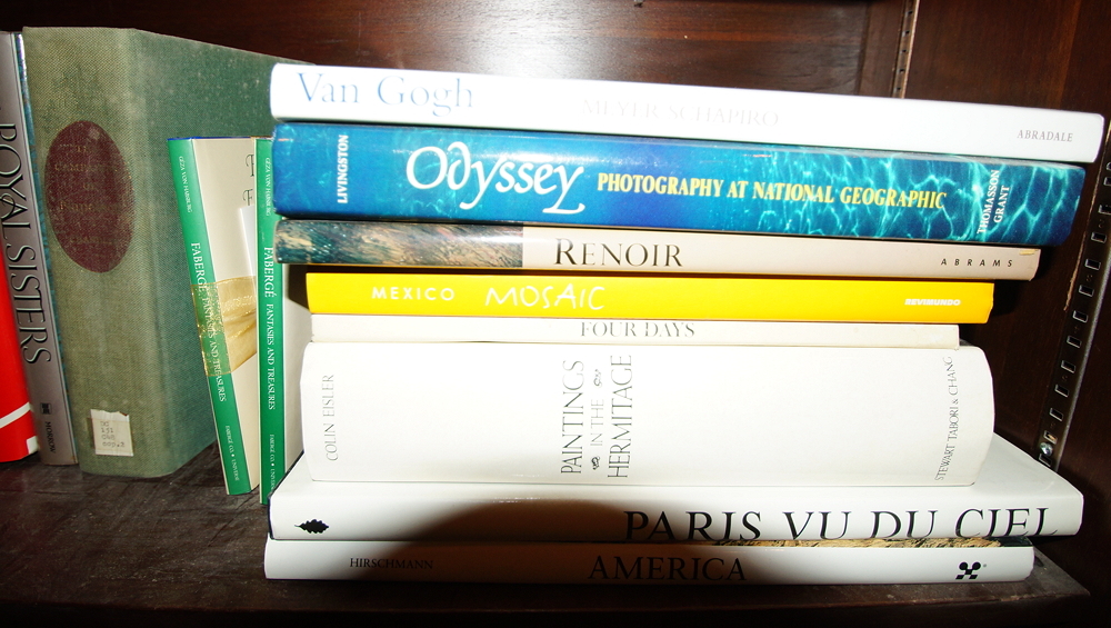 Bookcase filled with Books