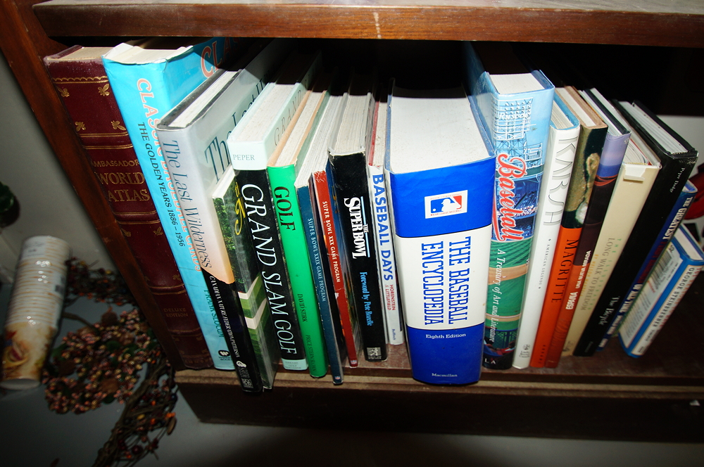 Bookcase filled with Books