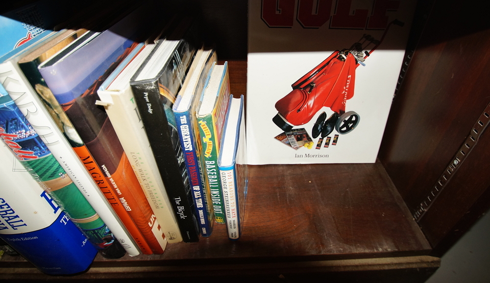 Bookcase filled with Books