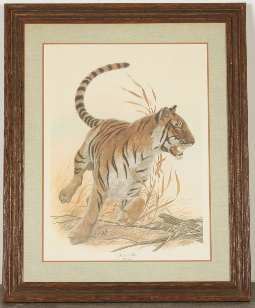 John Ruthven "Bengal Tiger"