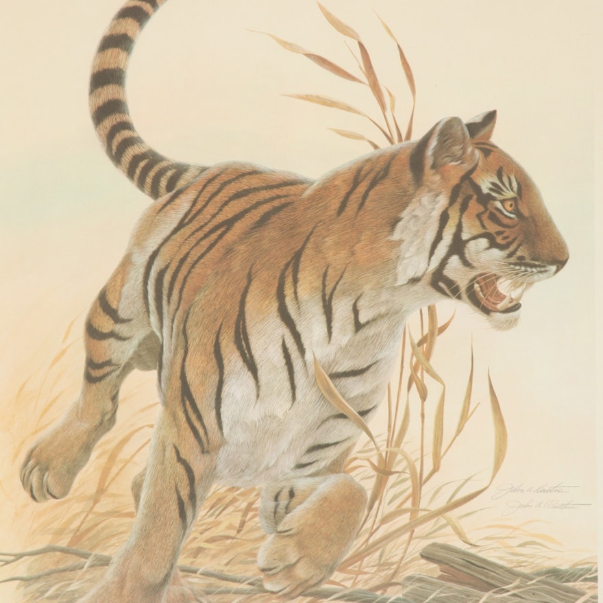 John Ruthven "Bengal Tiger"