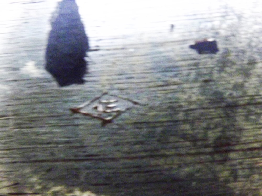 Victorian Collectibles, Kerosene Lamps and Children's Books