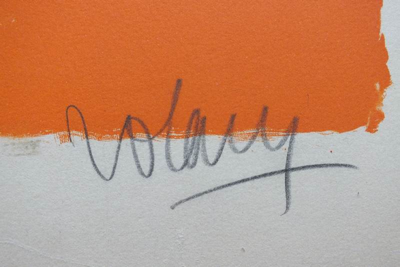 Colorful hand pulled screen print