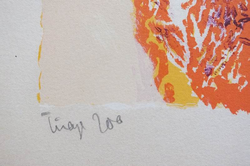 Colorful hand pulled screen print