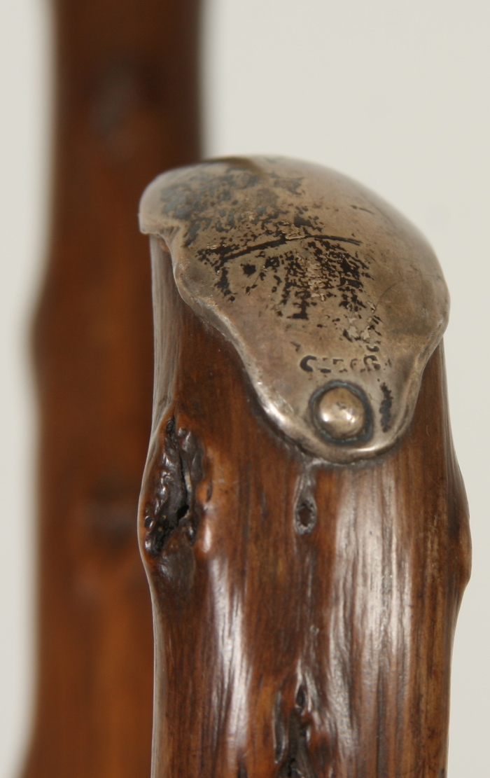 Victorian Parasol and Cane, Gold Filled and Sterling Silver Decoration