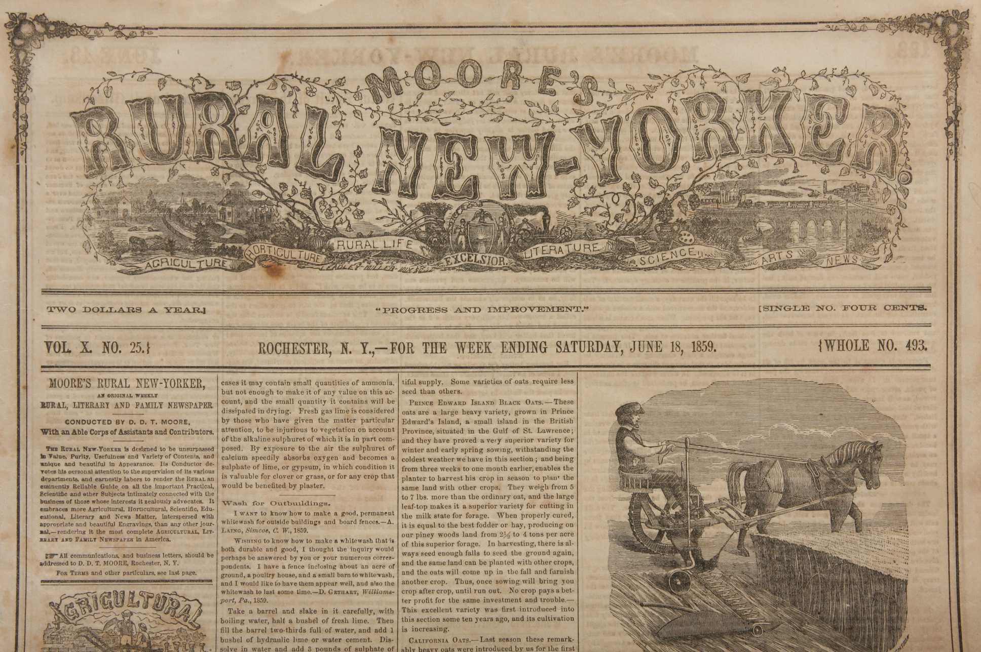 Antique Newspapers
