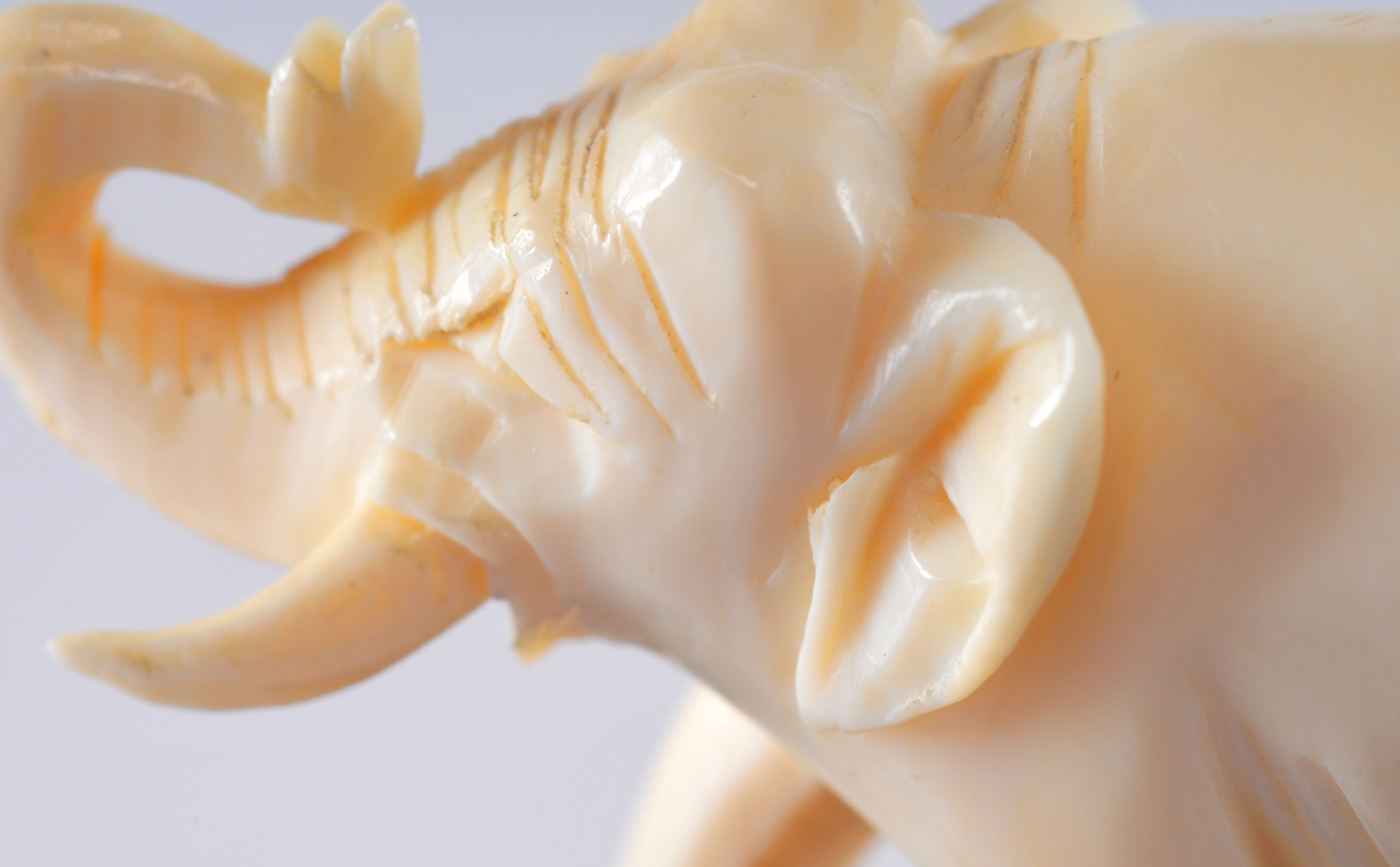 Chinese Ivory Miniature Elephant Carving