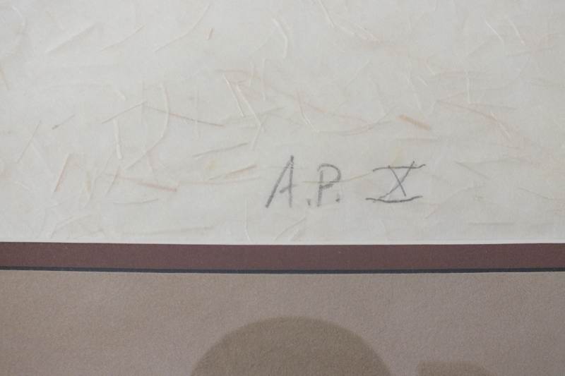  A Judith Sham hand pulled screen 