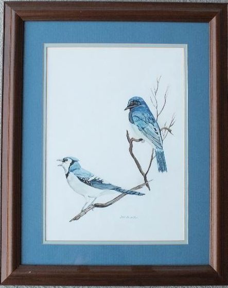 An original watercolor signed by artist, Jim Hamilton, which depicts blue jays on a branch