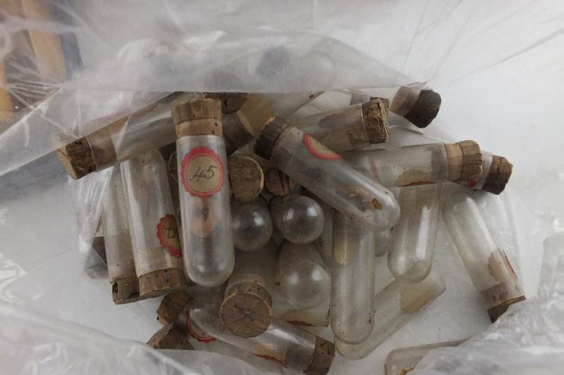 Antique glass bottles filled with Chemical compounds