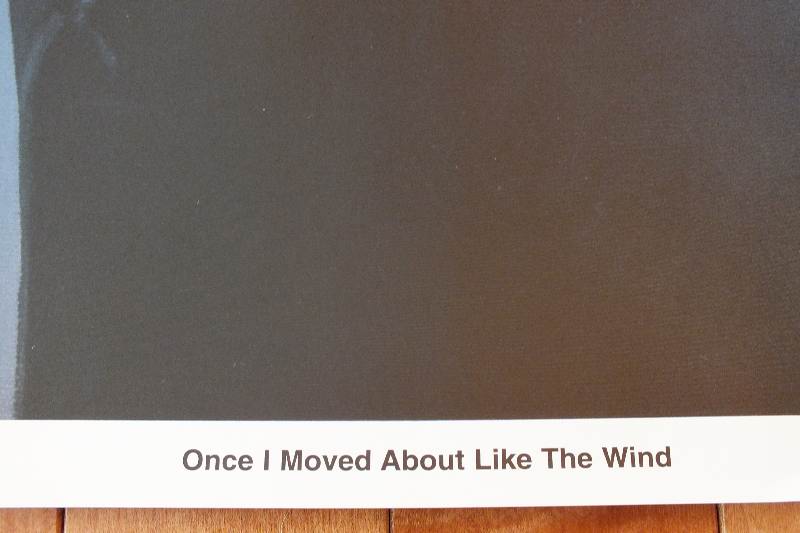 David Kaskake and Lisa Schneider Signed Printed Posters