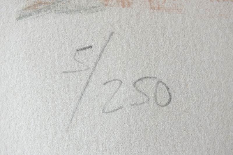 Signed and Numbered Lithographograph