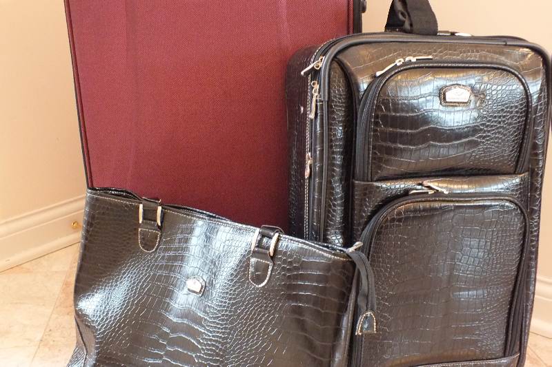 Pak Roller Board Suitcase