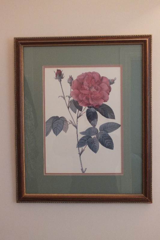 Generous assortment of Bathroom accessories