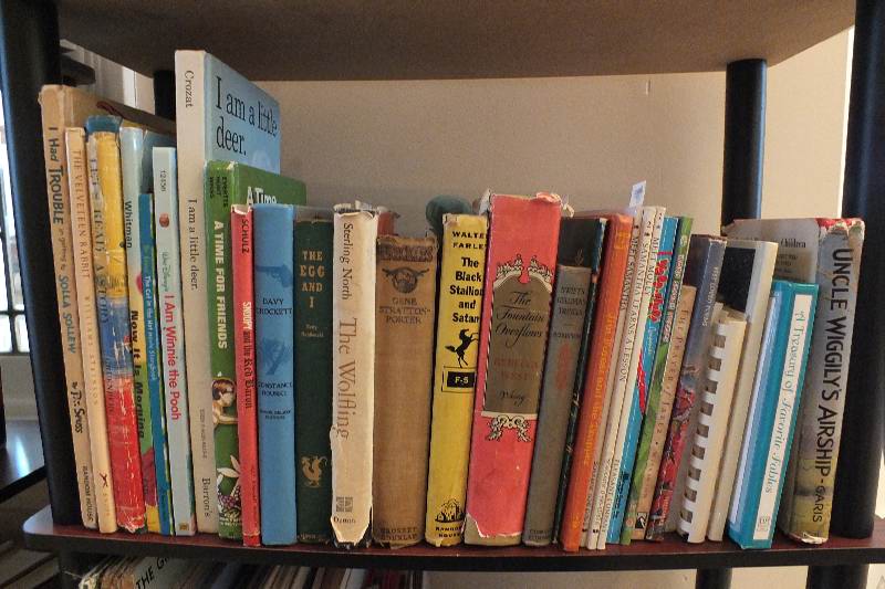 Small bookshelf and books.