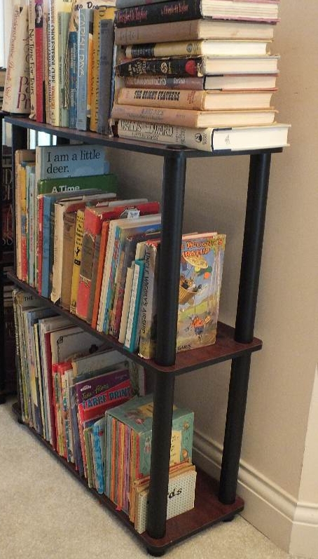 Small bookshelf and books.
