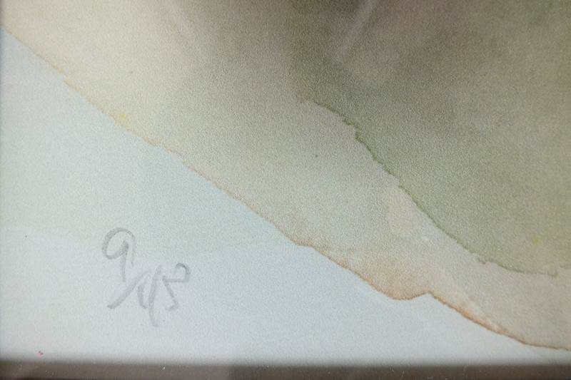 Signed and numbered  Floral print.