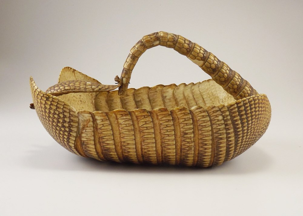 Preserved Armadillo Shell Basket