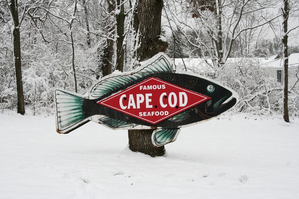 Cincinnati Fish Sign