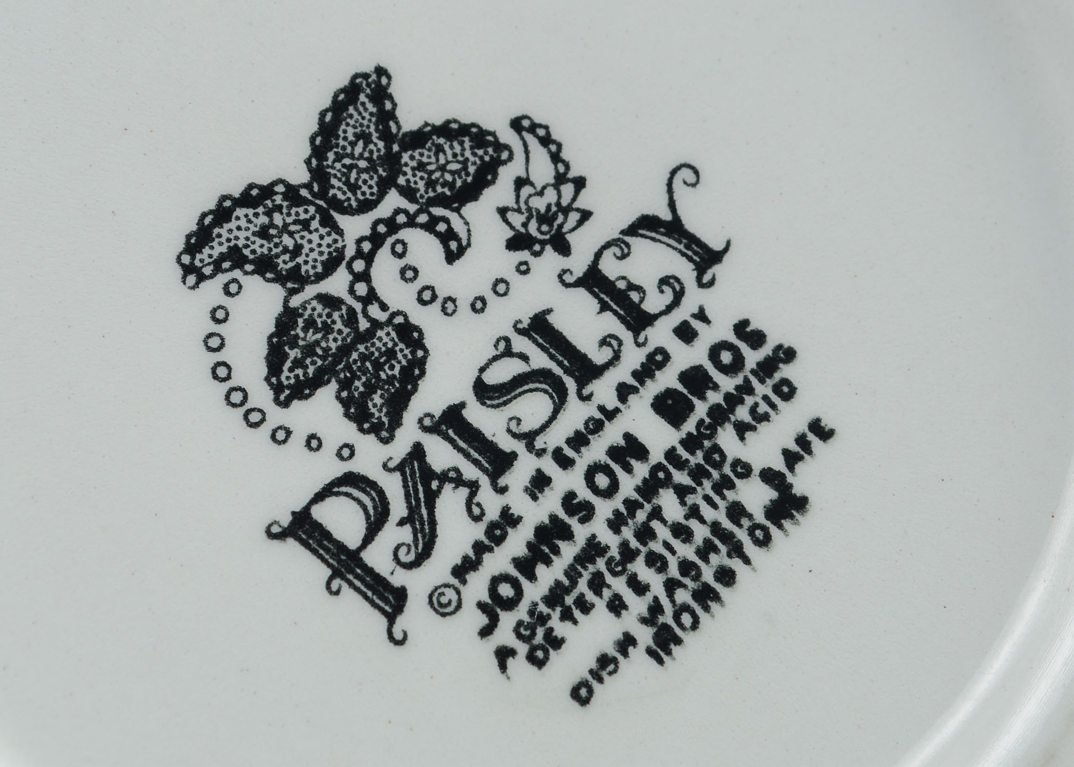 Modern Black and White Paisley dishes