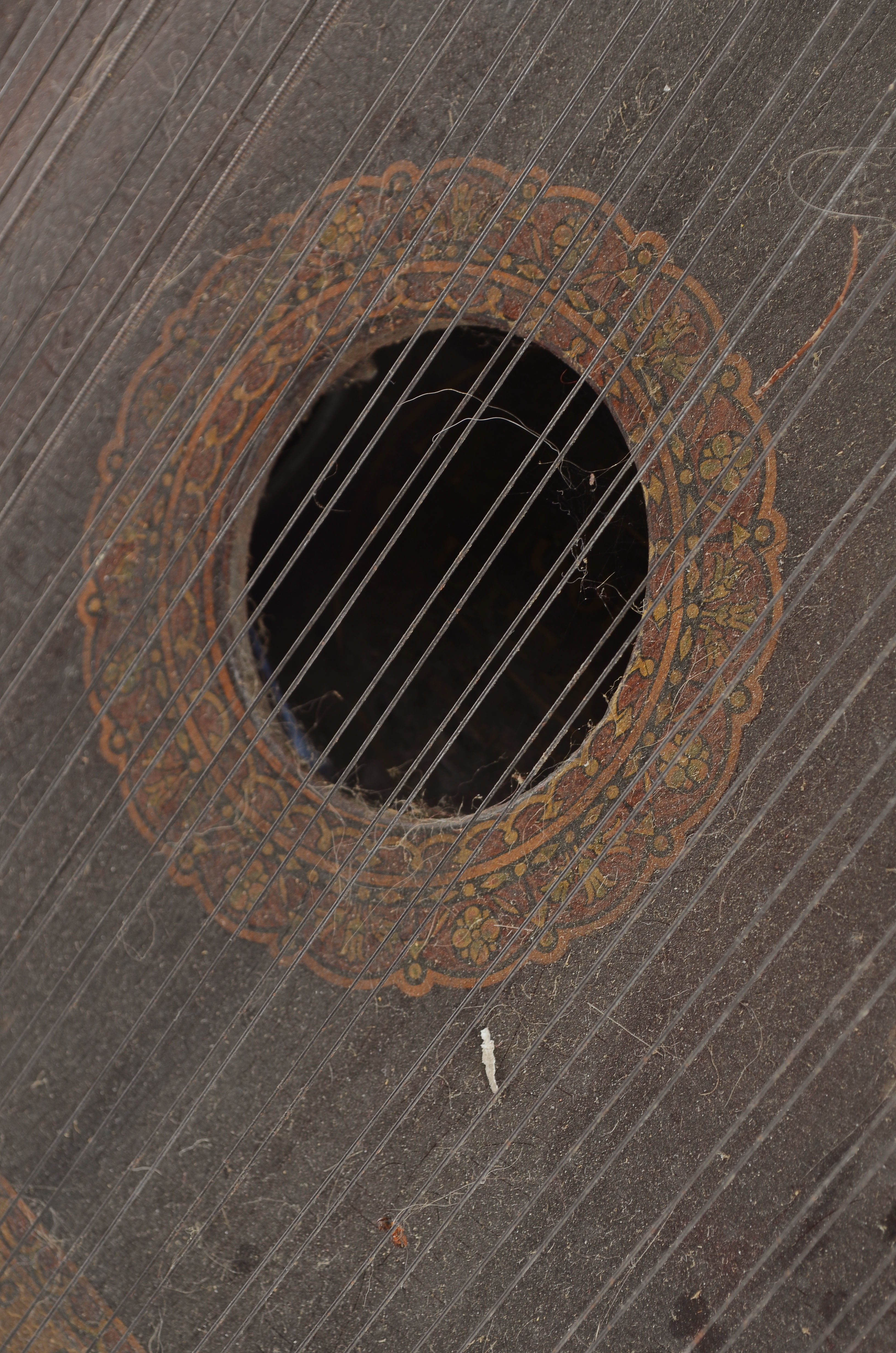 Combination Mandolin Guitar