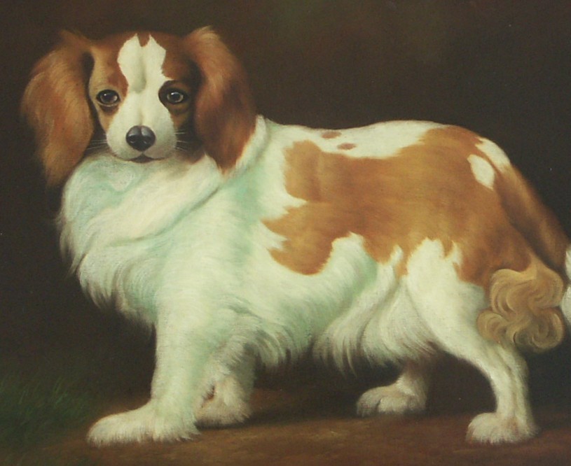 King Charles Spaniel Painting by P. English