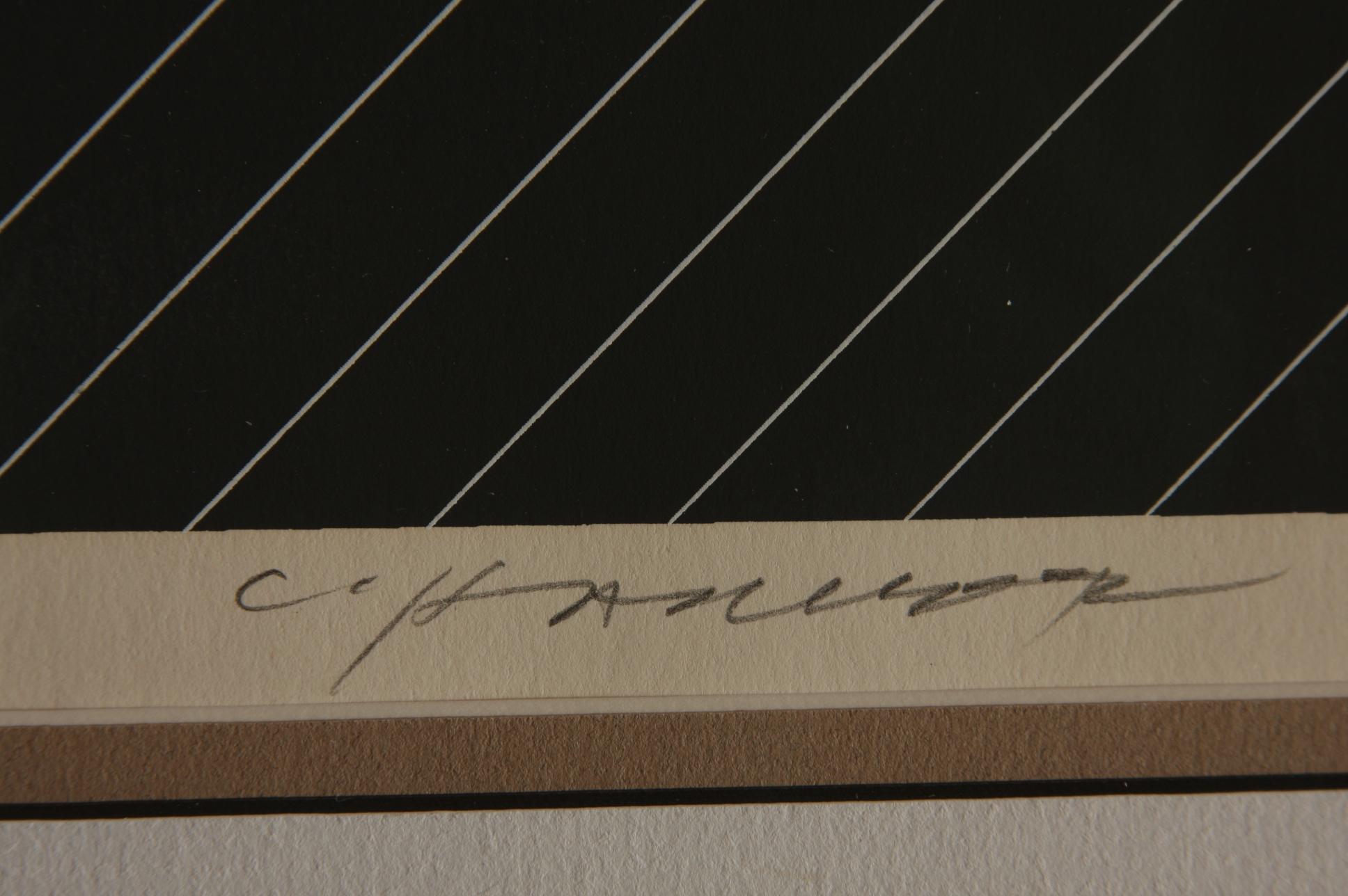 Charley Harper, Pelican in a Downpour Serigraph