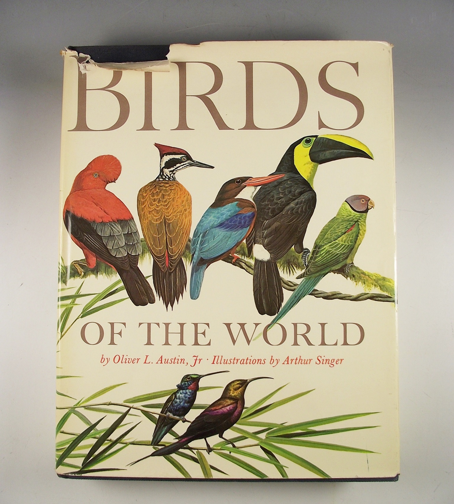 Bird reference books.