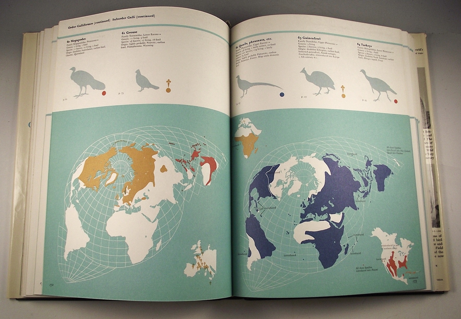 Bird reference books.