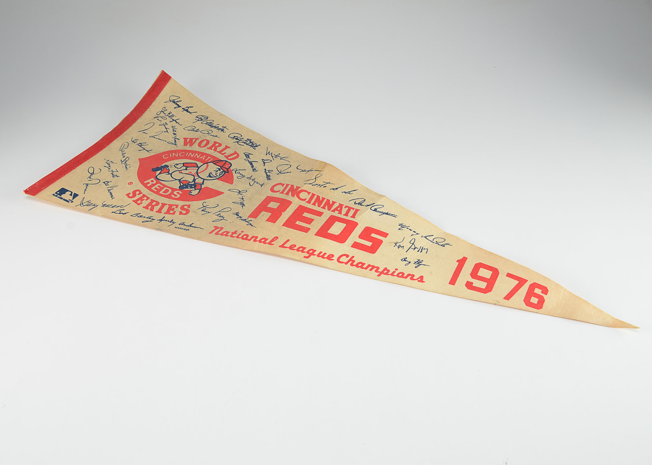 Felt Sport Pennants