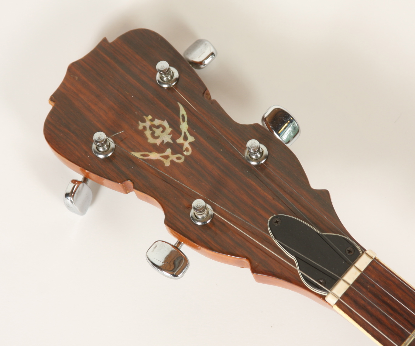 A 5-string Bluegrass Plectrum Banjo