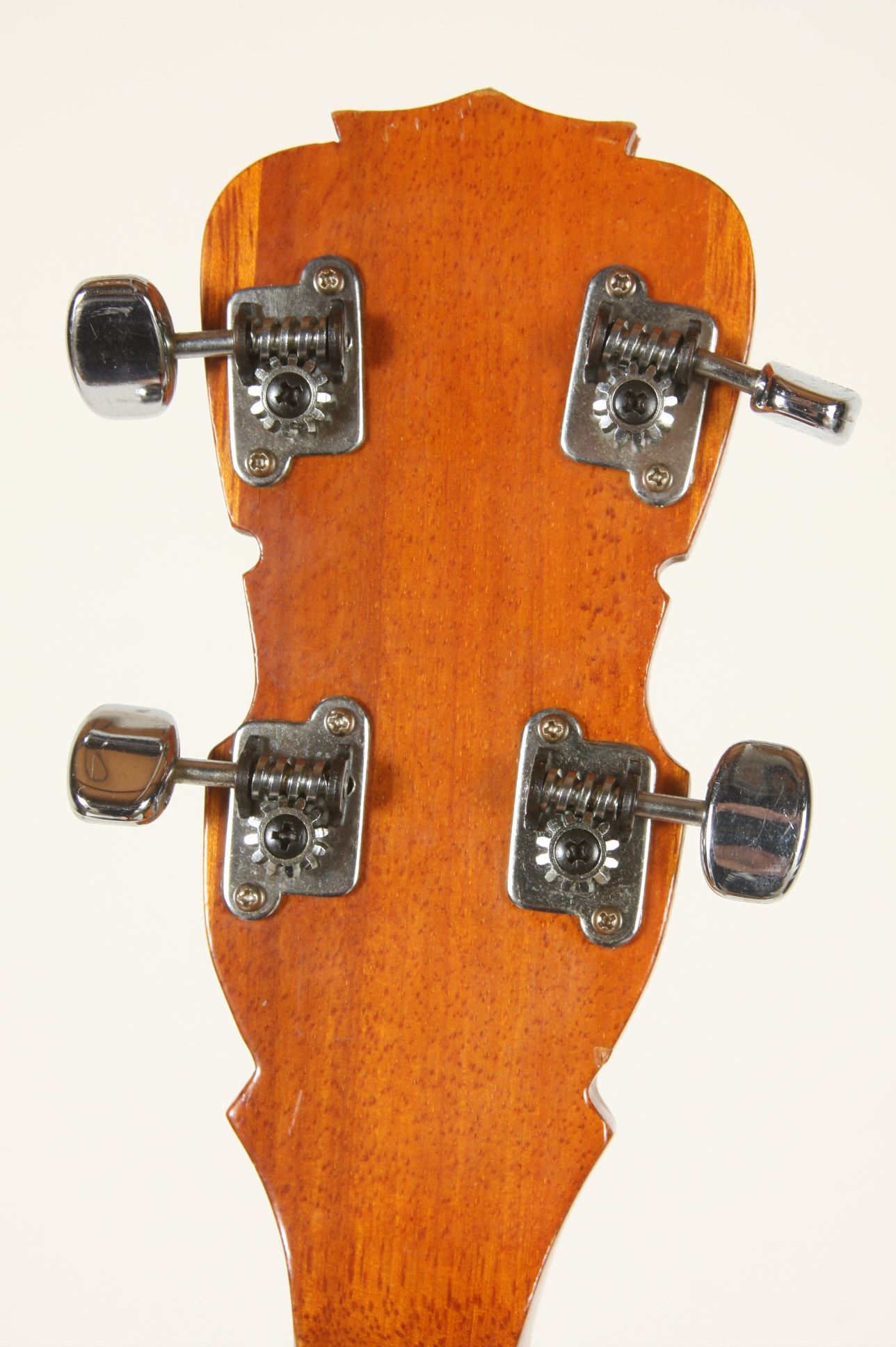 A 5-string Bluegrass Plectrum Banjo