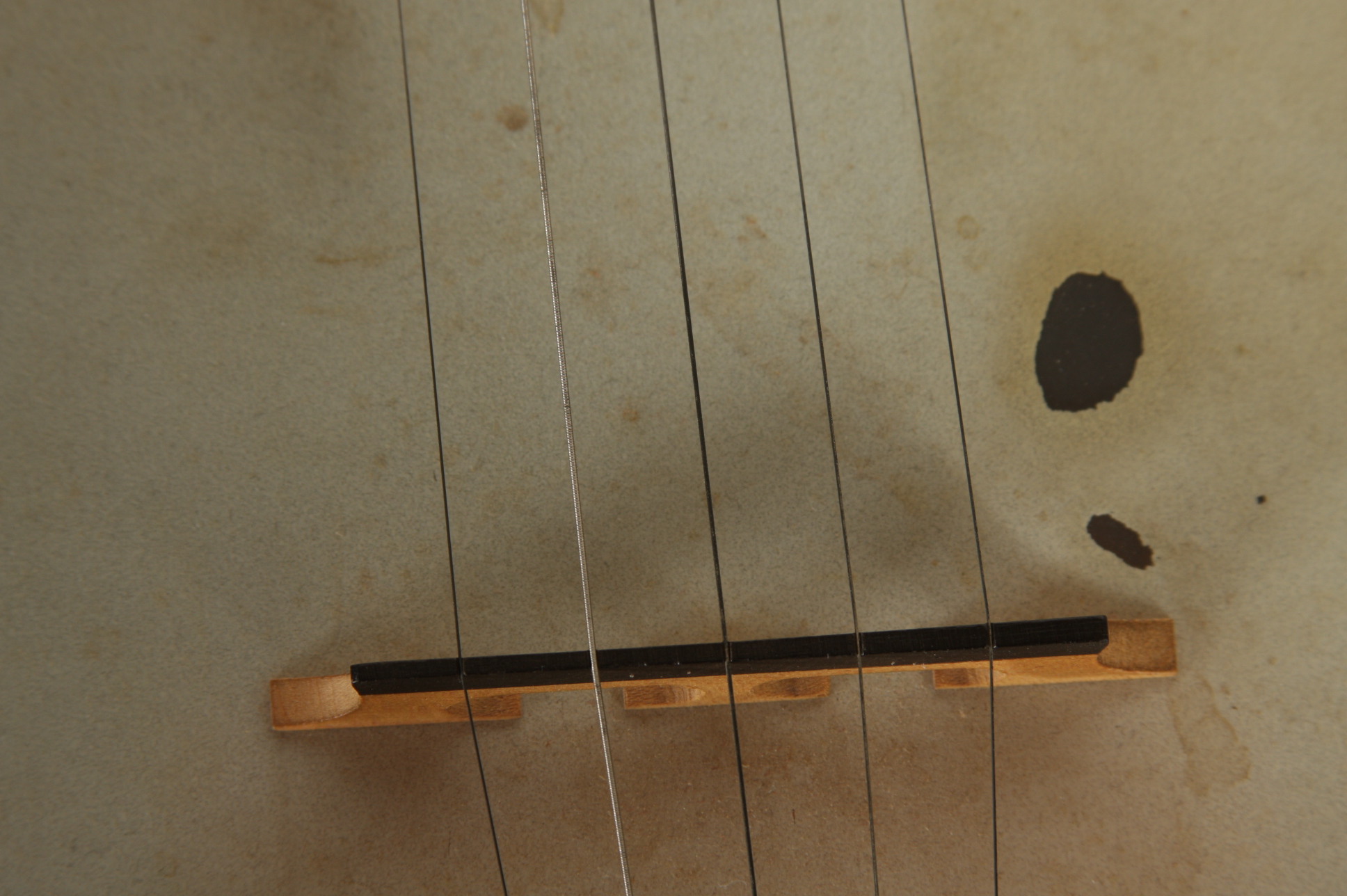 A 5-string Bluegrass Plectrum Banjo