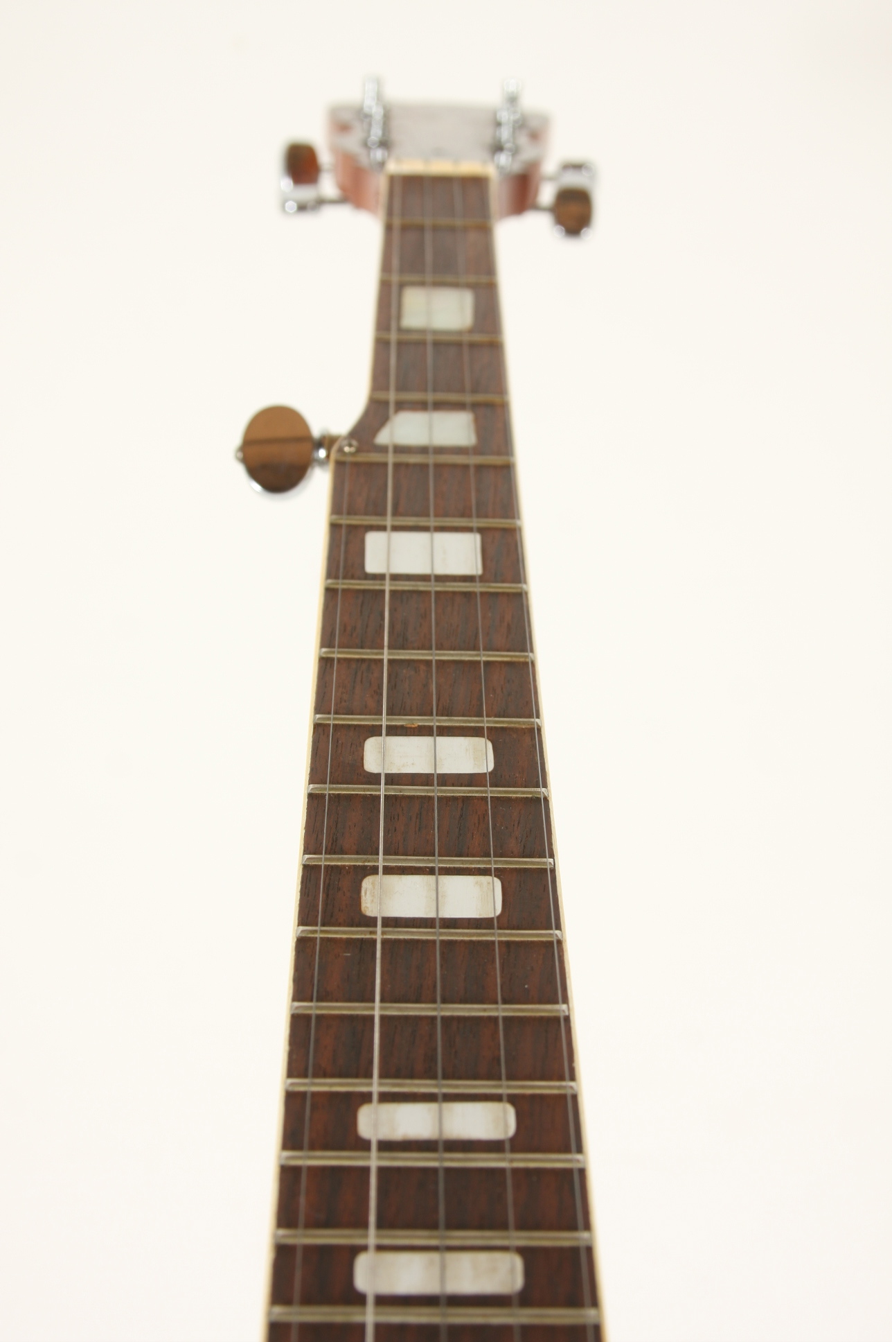 A 5-string Bluegrass Plectrum Banjo