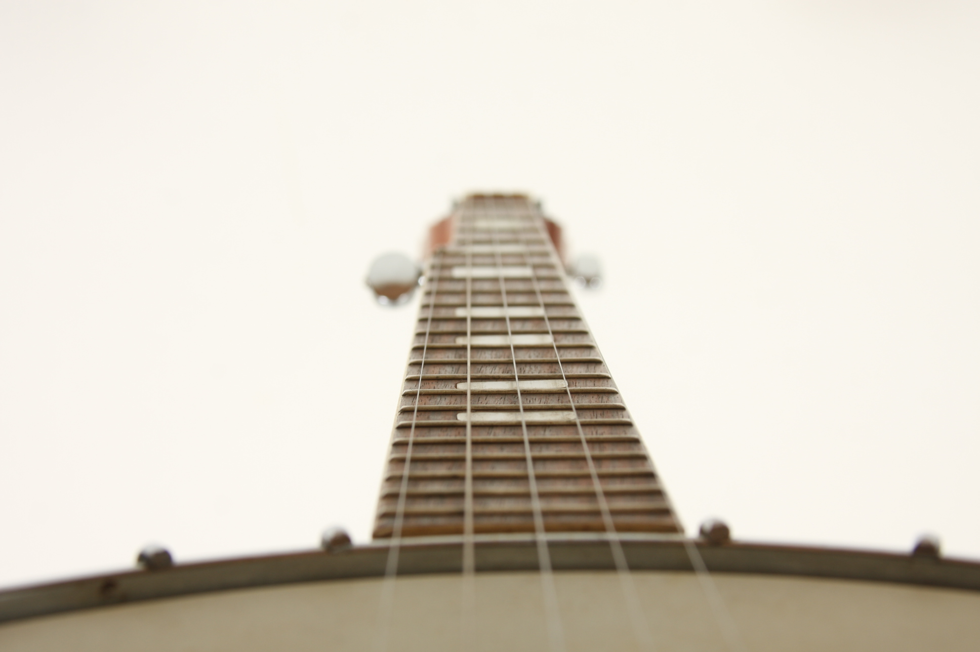 A 5-string Bluegrass Plectrum Banjo