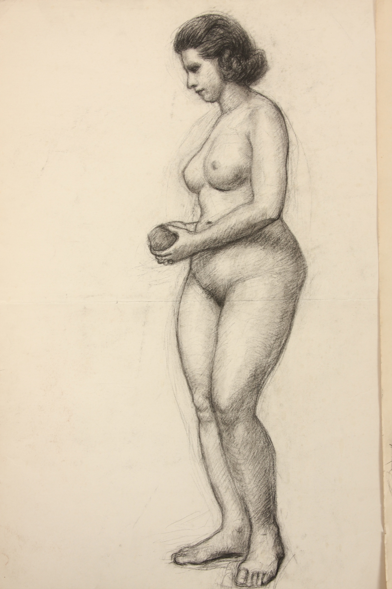 Evelyn Levy Shaw, Lot of 3 Sketches