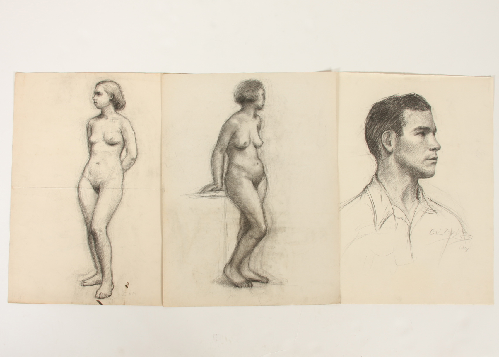 Evelyn Levy Shaw, Lot of 3 Sketches