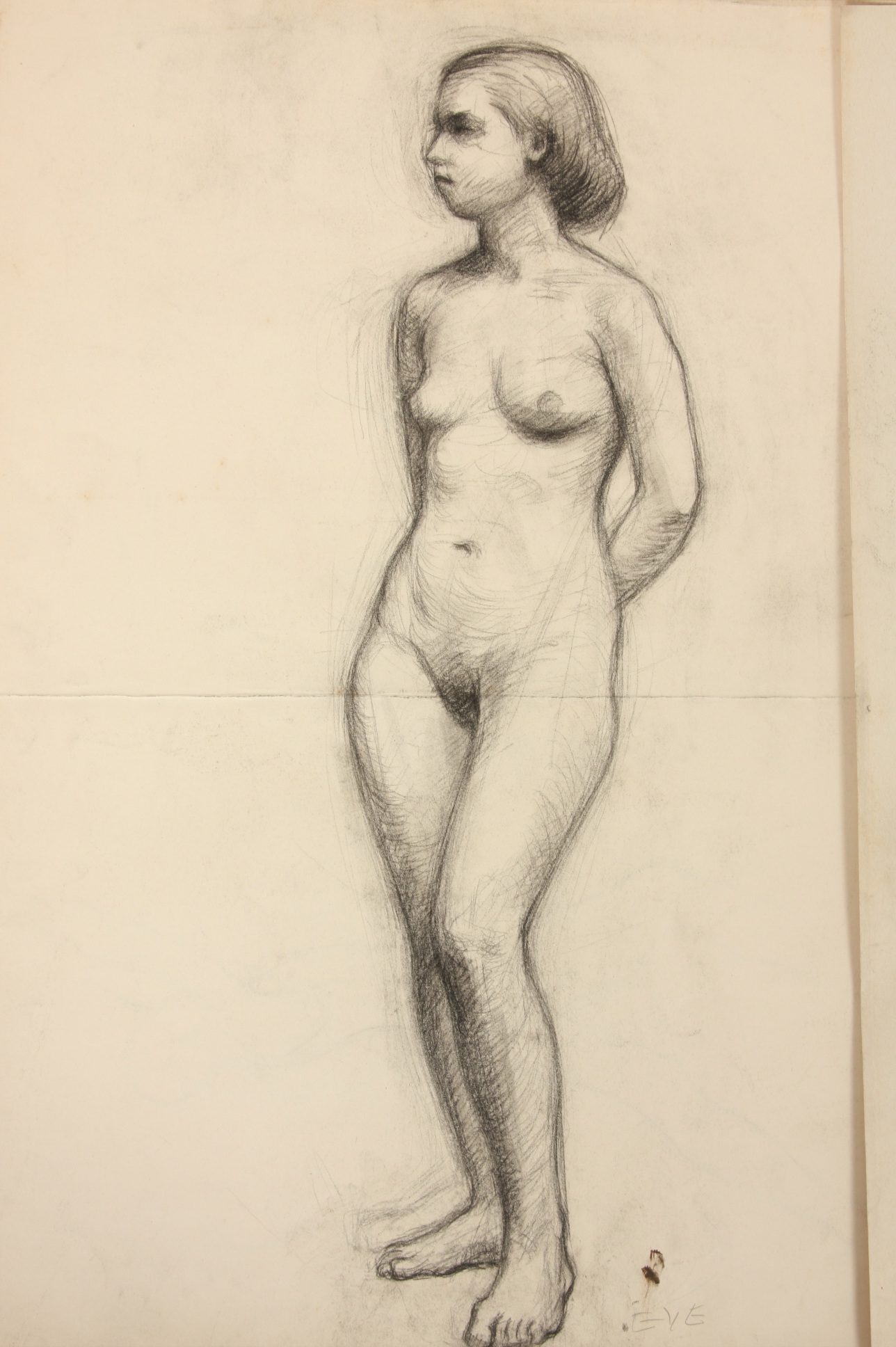 Evelyn Levy Shaw, Lot of 3 Sketches