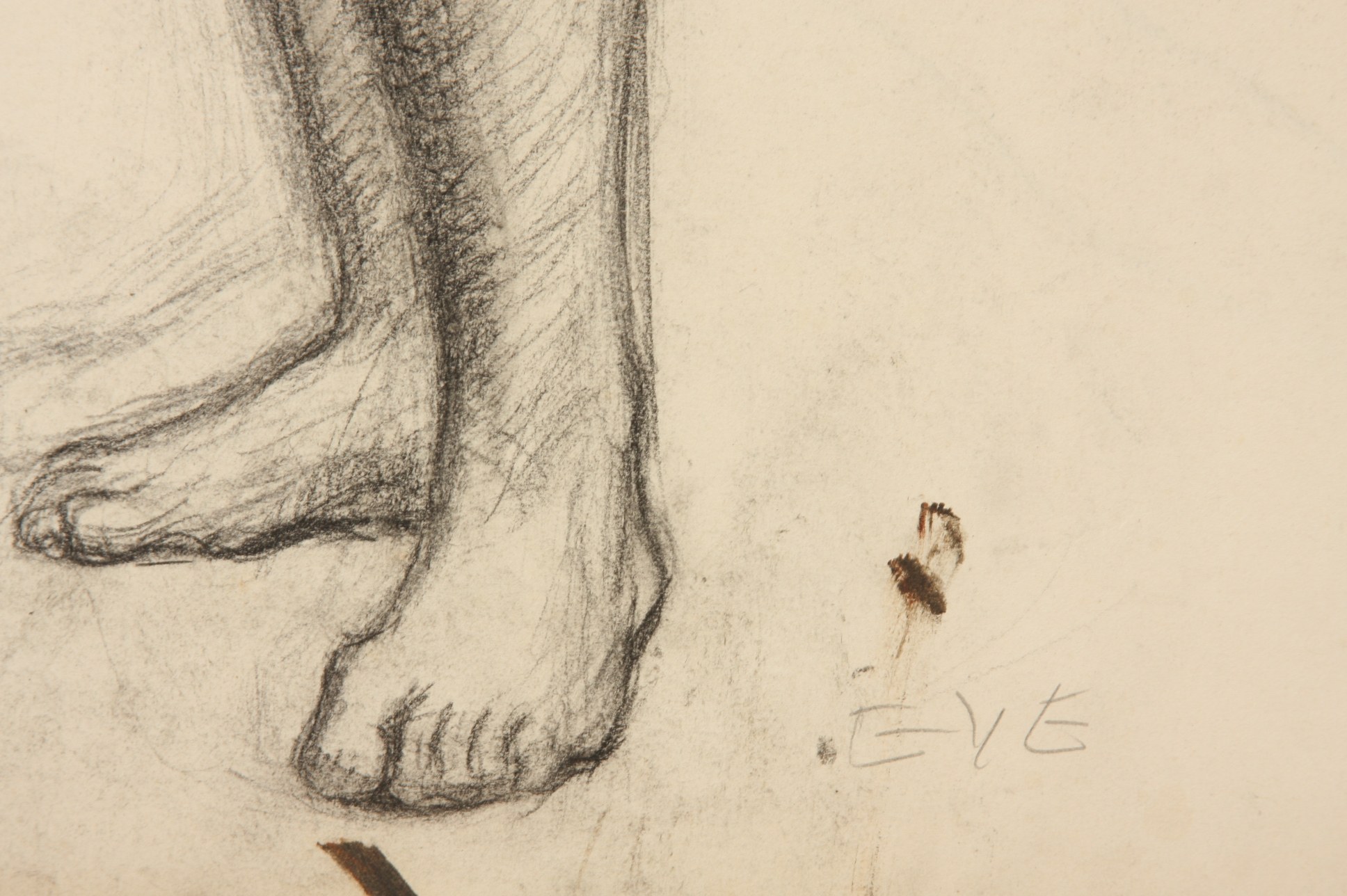 Evelyn Levy Shaw, Lot of 3 Sketches