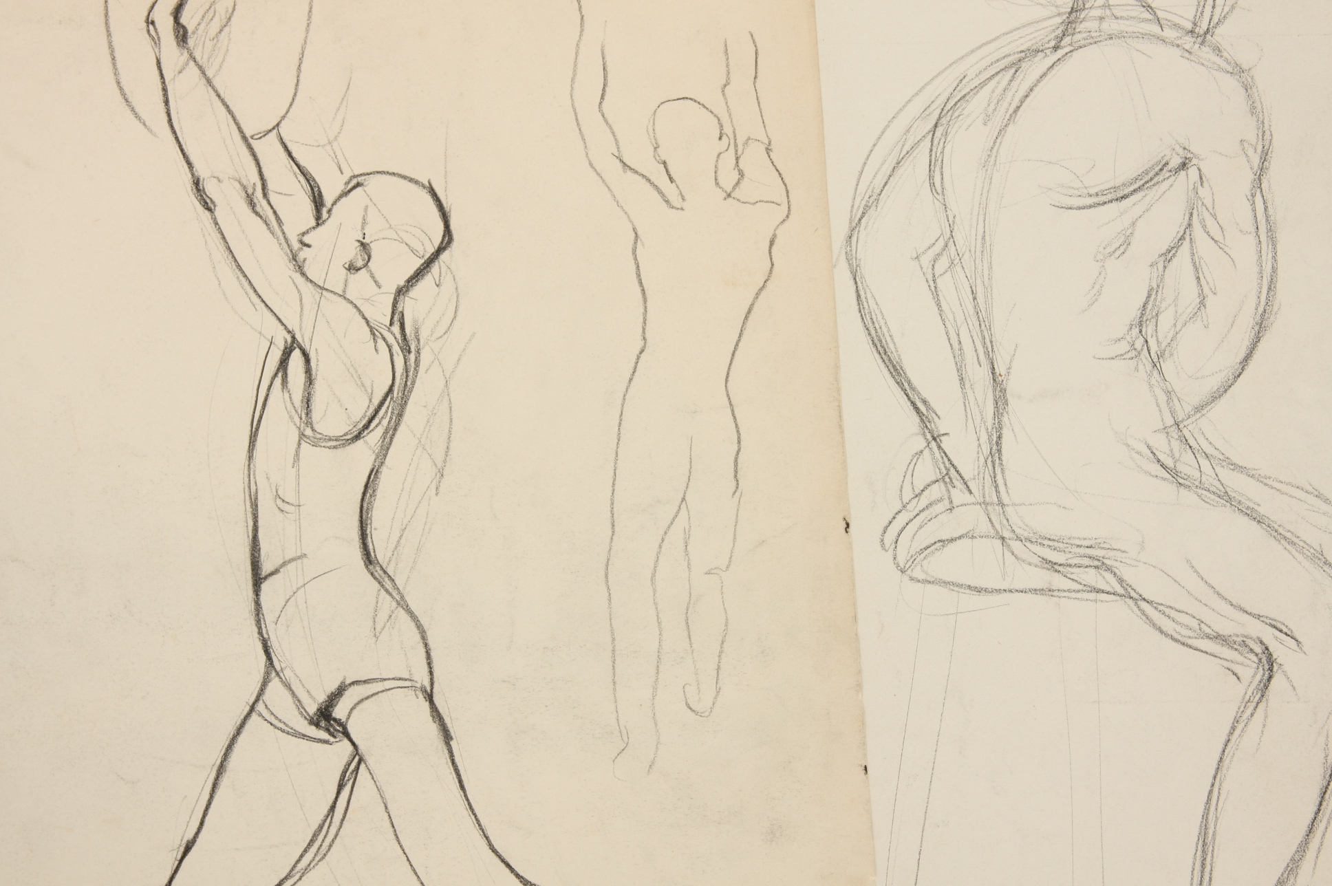 Evelyn Levy Shaw, Lot of 3 Sketches