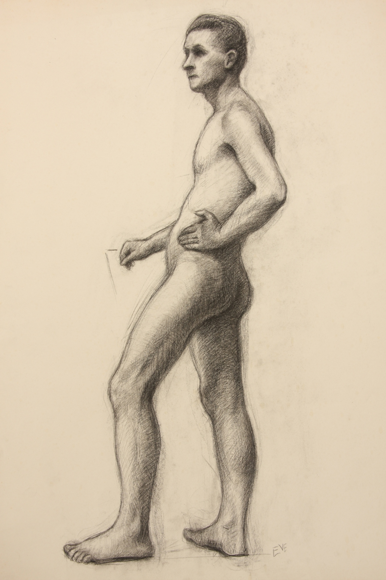 Evelyn Levy Shaw, Lot of 3 Sketches