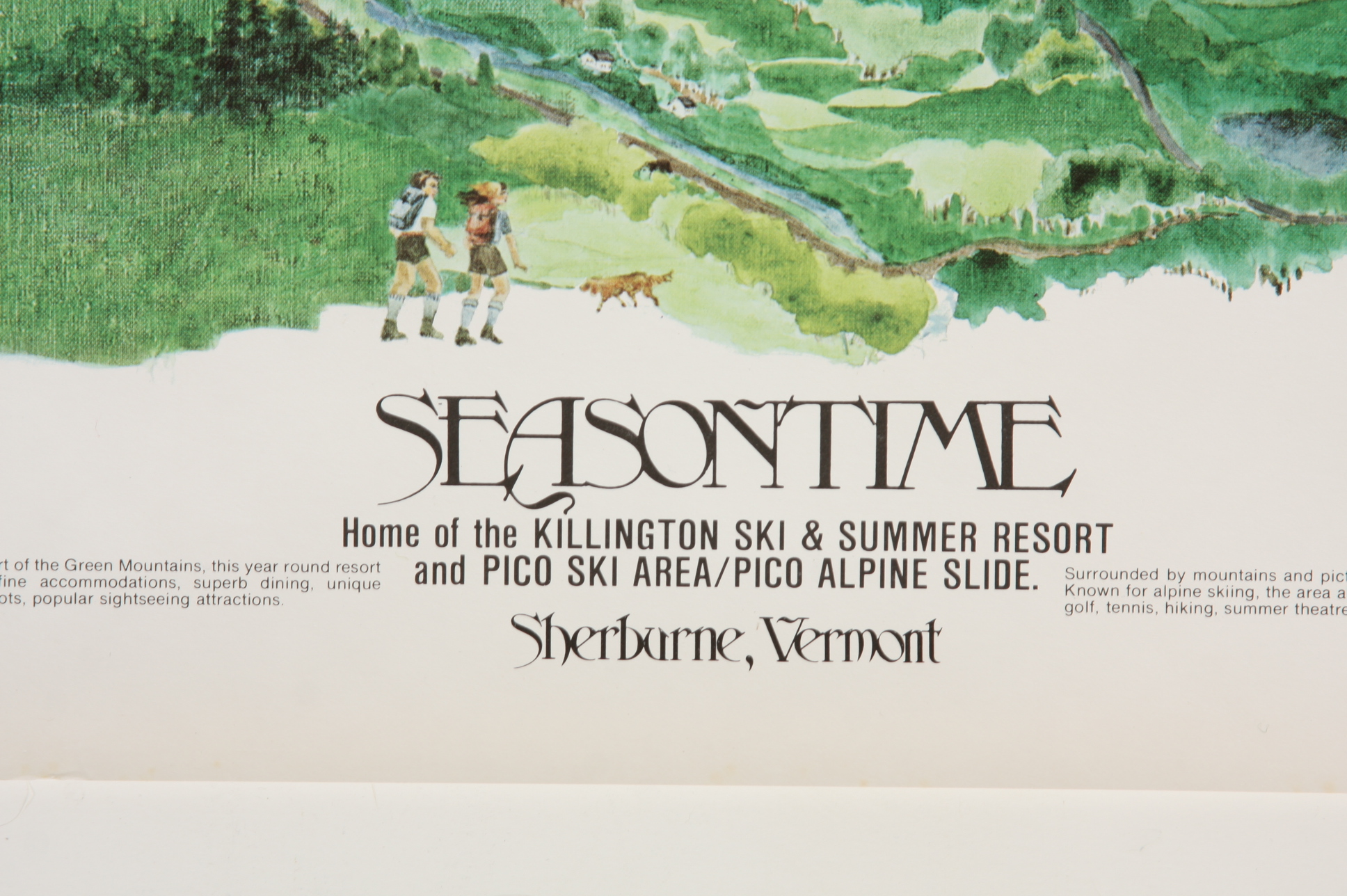 Collection of Mid Century Graphic Poster