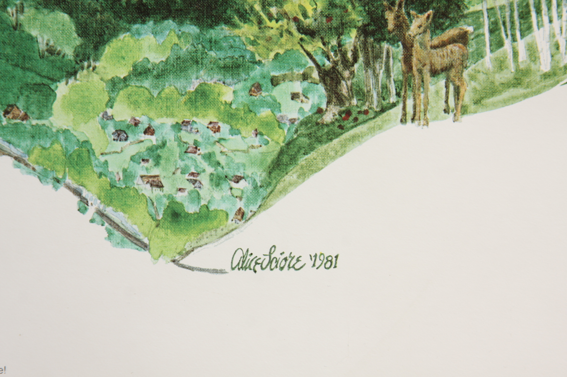 Collection of Mid Century Graphic Poster