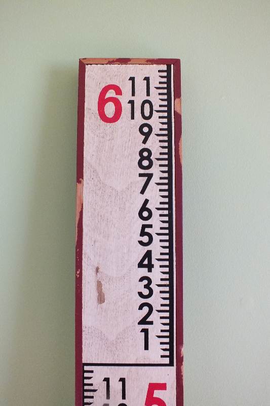 Pottery Barn Growth Stick