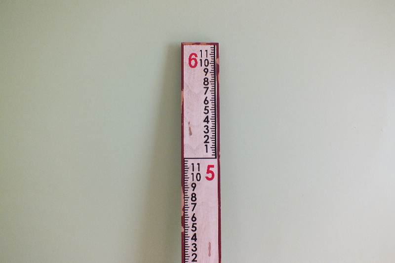 Pottery Barn Growth Stick