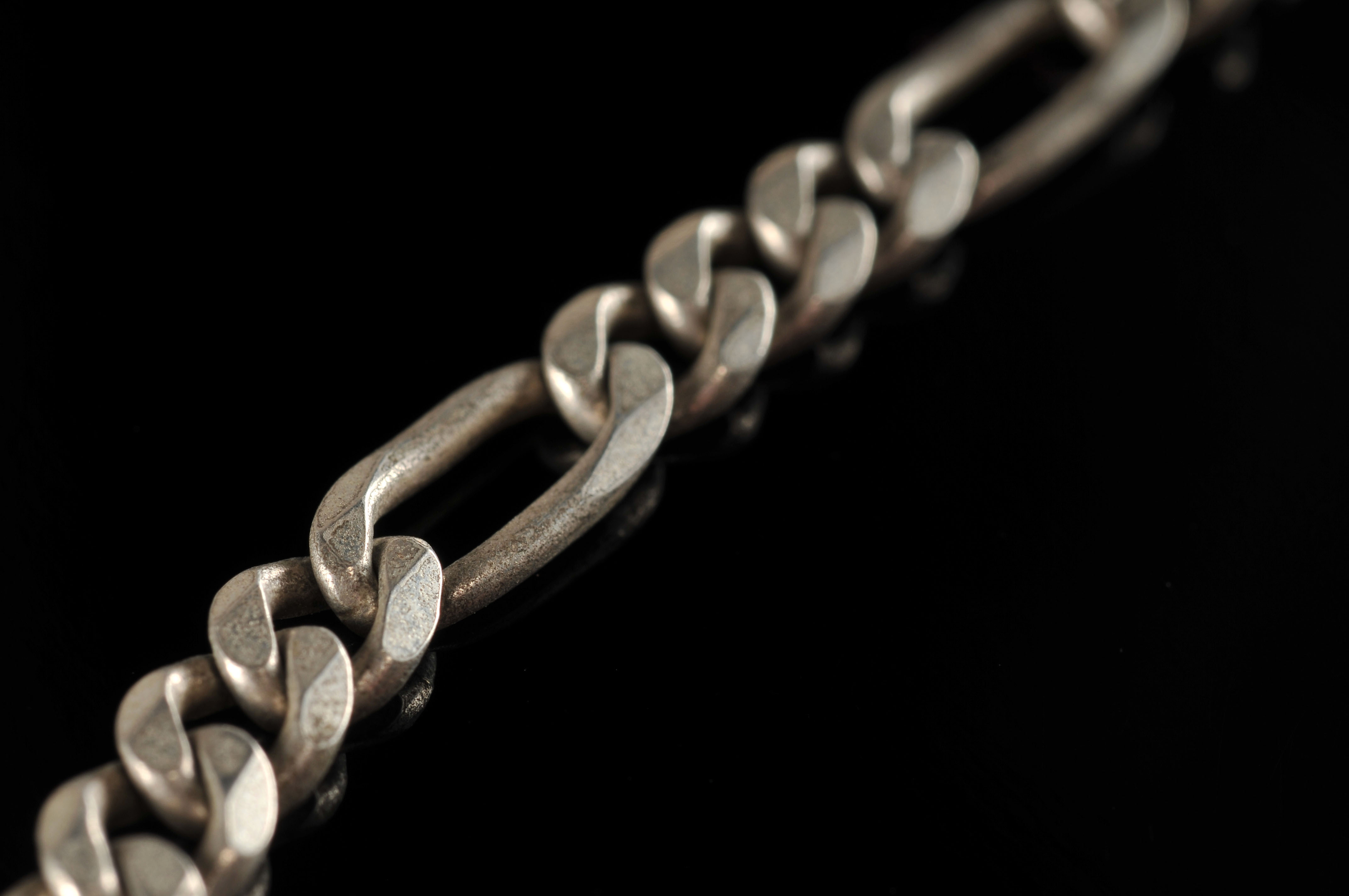 A sterling silver link necklace with a cast sterling silver panther pendant and a sterling silver link braclet